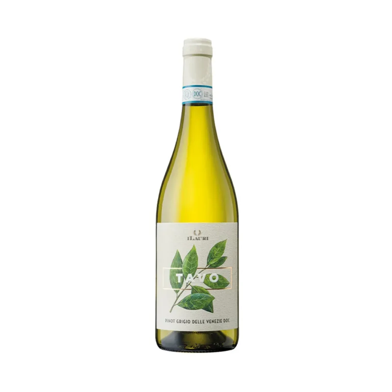 Pinot Grigio TAVO DOC 2025